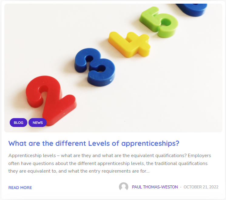 Preview of the ESP blog titled "What are the different levels of apprenticeships?" with multicoloured numbers. The caption reads "Apprenticeship levels - what are they and what are the equivalent qualifications? Employers often have questions about the different apprenticeship levels, the traditional qualifications they are equivalent to, and what the entry requirements are for..." with a link to "Read more" below.